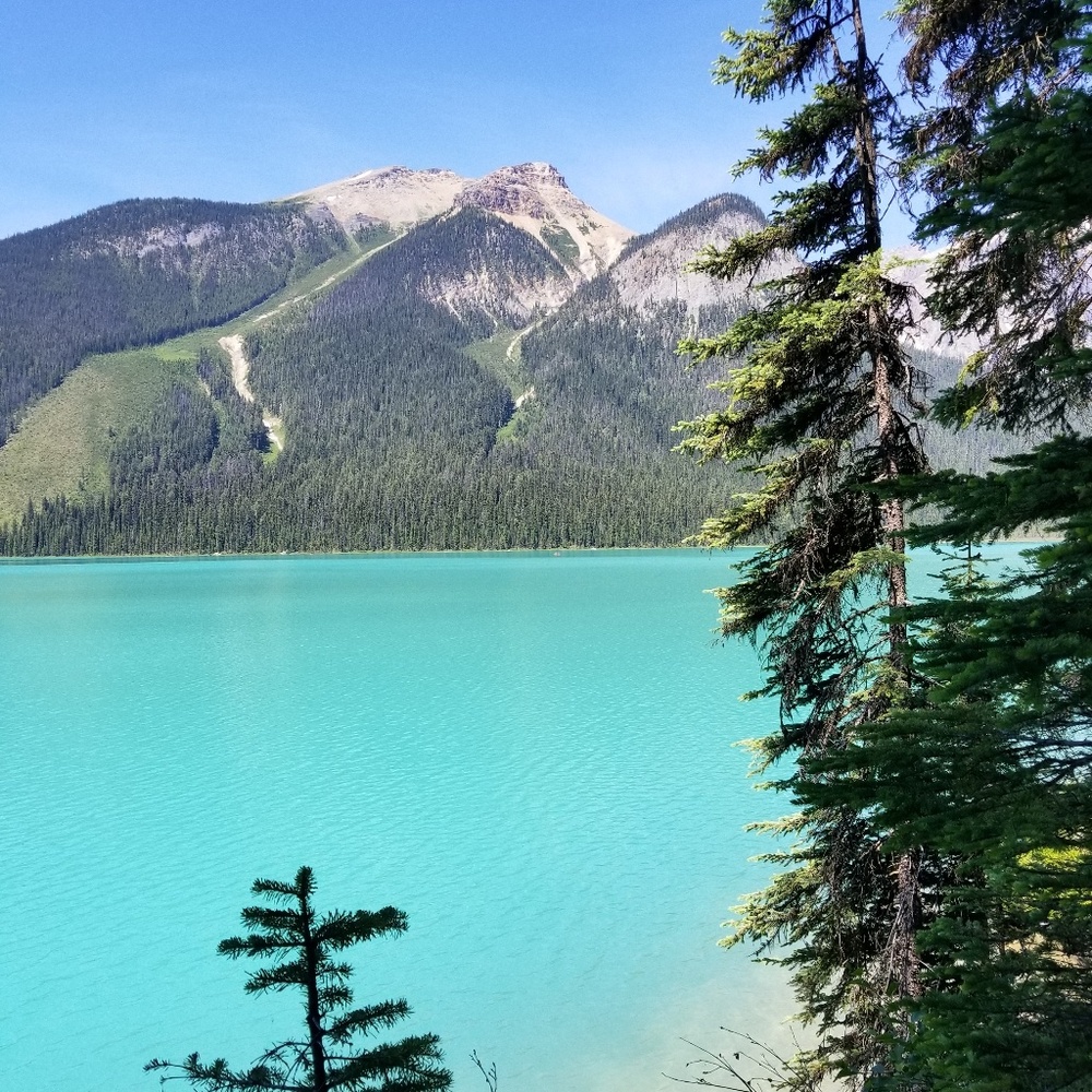 Meet your Posher, Whitney